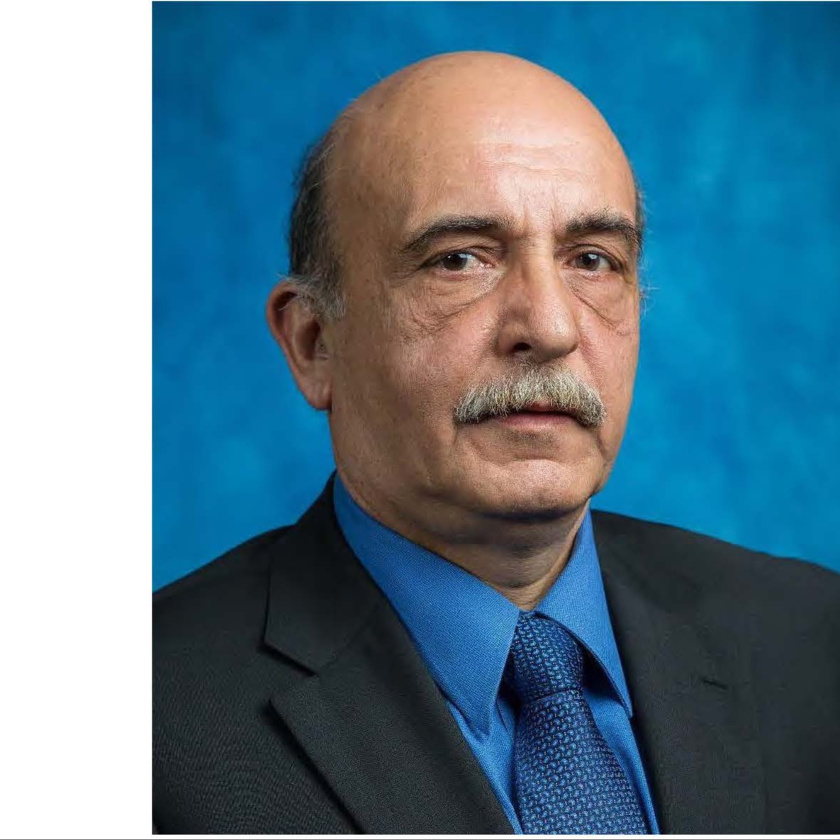 Photo of Maia Chankseliani, PhD